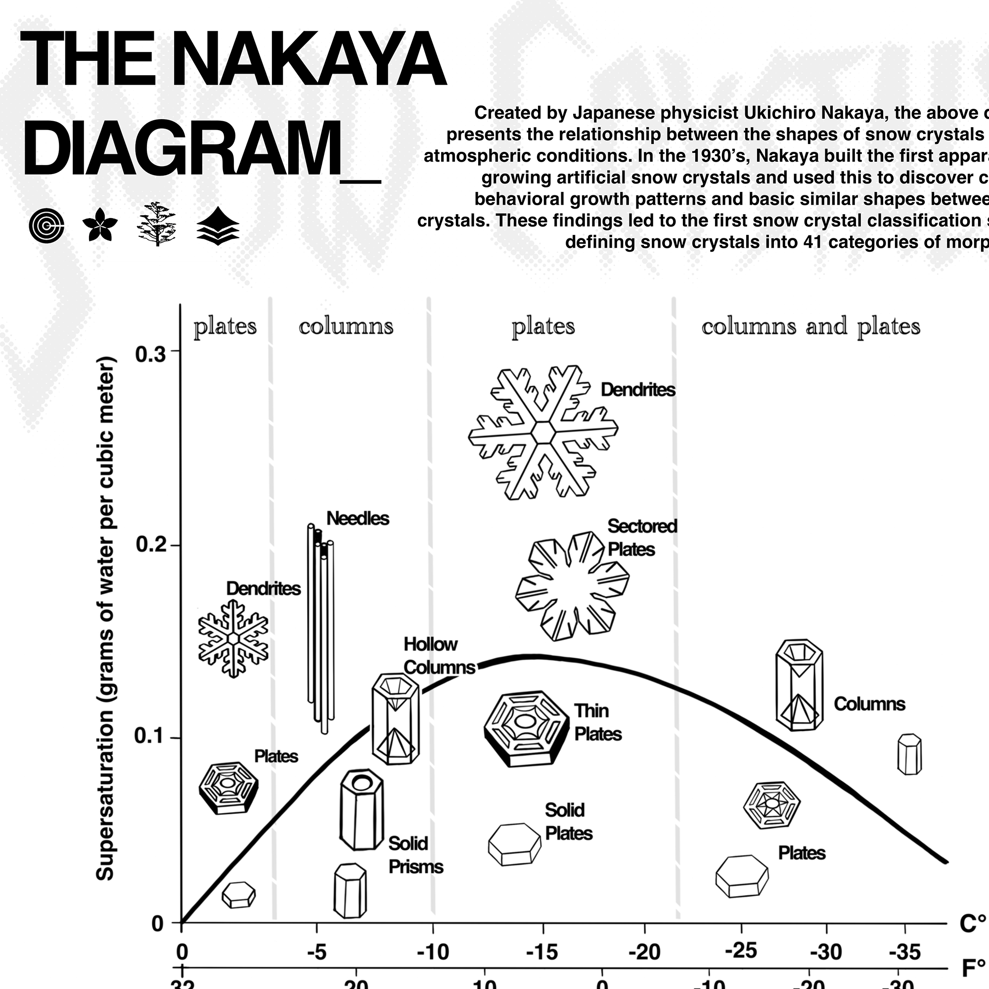 Print Yourself - Snowflakes