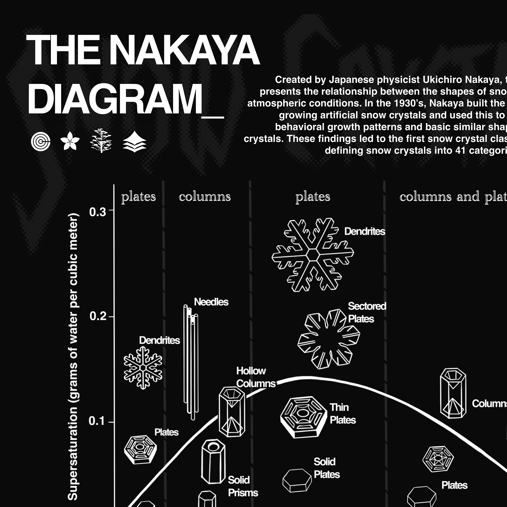 Print Yourself - Snowflakes