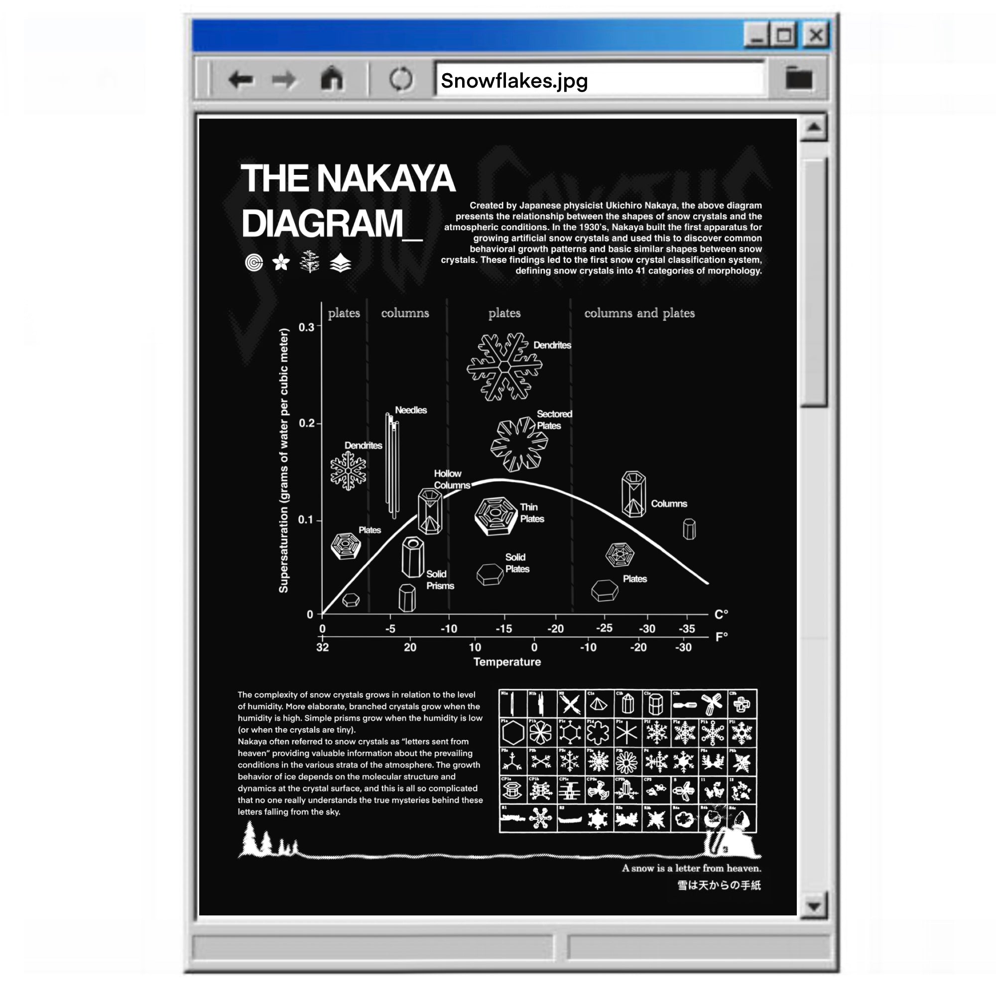 Print Yourself - Snowflakes